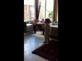 Freeze Dance