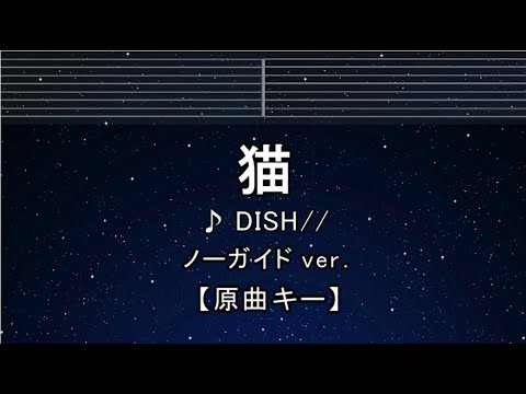 カラオケ♬【原曲キー±8】  猫 -  DISH// 【ガイドメロディなし】 インスト, 歌詞 キー変更, キー上げ, キー下げ, 複数キー, 女性キー, 男性キー