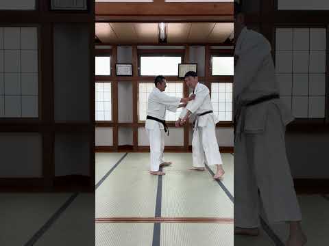 総伝　古流に残る投げない大東流　本編　～合気道の源流～大東流合気柔術総伝の巻