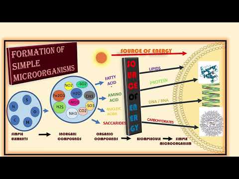 download lagu mp3 mp4 Inanimate Matter, download lagu Inanimate Matter gratis, unduh video klip Inanimate Matter