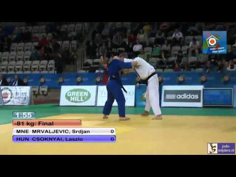 Judo 2014 European Open Men Prague: Mrvaljevic (MNE) - Csoknyai (HUN) [-81kg] final