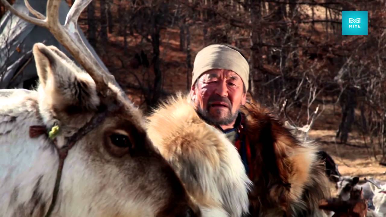 Тэнгэрийн хүү / Tengeriin khuu