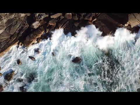 Sam Kramer Wrong n' Right