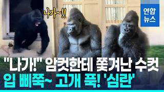 마누라에게 쫒겨난 남편