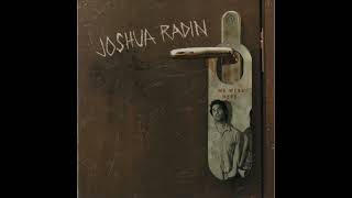 Joshua Radin - Amy's Song [We Were Here]