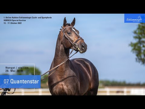Schlamminger-Auktion Lot 07 Quantenstar Hengst v. Quantensprung - Sandro Hit