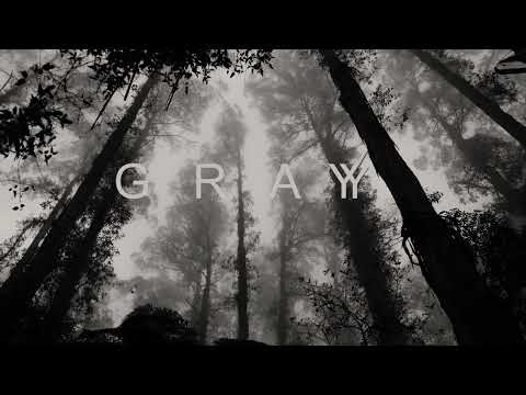 Dub Techno Session : Gray 2