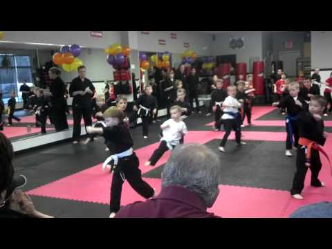 AmeriKick dragon tiger