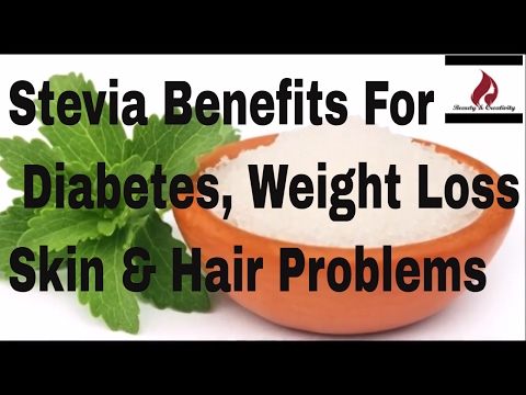 Stevia Leaf Extract, 1kg to 25kg