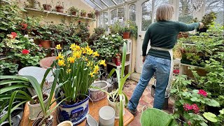 Conservatory Declutter, Tidy Up & Plant Care 🌱 Do Flylady With Me