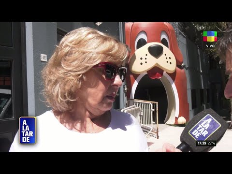 MORIA CASÁN VS. CINTHIA FERNÁNDEZ: CONTINÚA EL ESCÁNDALO  PARTE 1