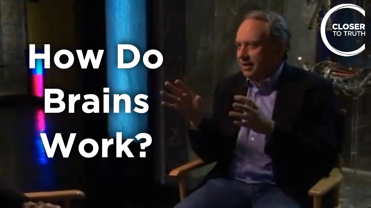 Rodney Brooks - How do Brains Work?