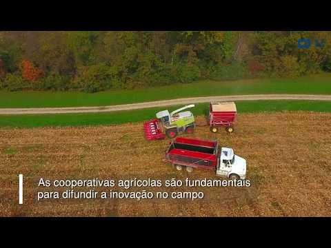 A importância das cooperativas agrícolas na indústria 4.0 - WEG Digital Solutions