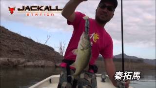 秦拓馬の「メキシコ・エルサルト」リポート４