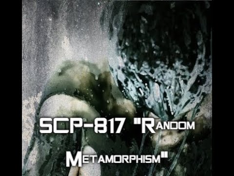 SCP-817 "Random Metamorphism"