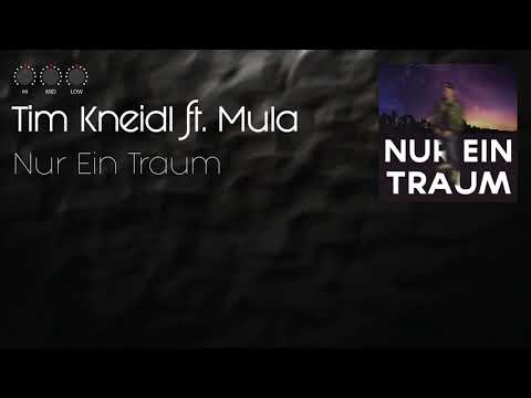 Tim Kneidl ft. Mula - Nur ein Traum