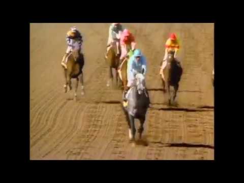Breeders' Cup Distaff 1984 -  Princess Rooney