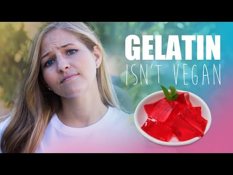 download lagu mp3 mp4 Non Pork Gelatin, download lagu Non Pork Gelatin gratis, unduh video klip Non Pork Gelatin