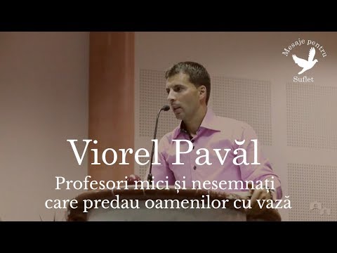 Viorel Pavăl - Profesori mici și nesemnați care predau oamenilor cu vază