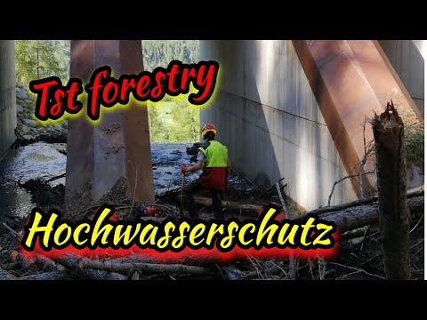 🌲Forstarbeit 🌲Waldarbeit 🌲TsT Forestry Hochwasserschutz