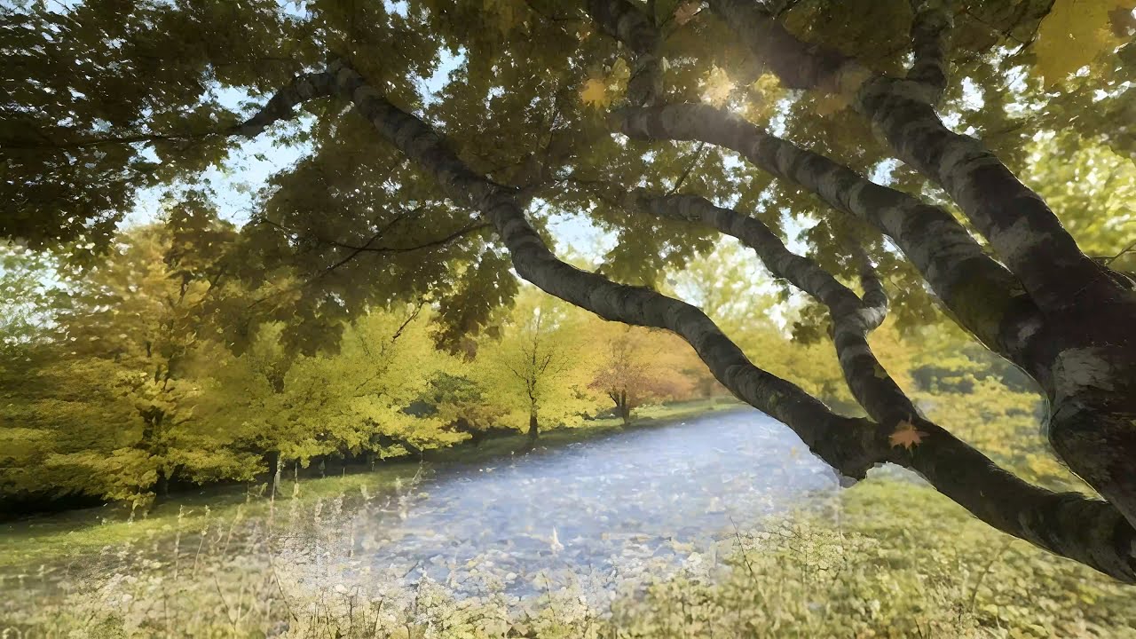 AI video - Stable Diffusion - Inspired by a tree