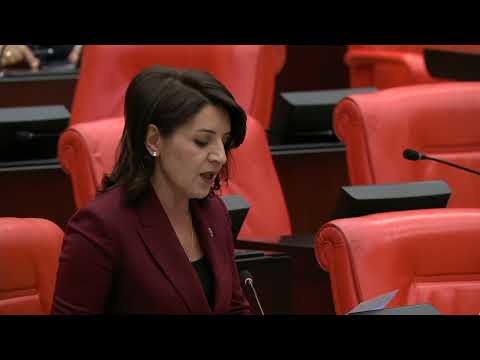 CHP’li Gülcan Kış, 2 bin 225 vatandaşımız silahlı olaylarda hayatını kaybetti.