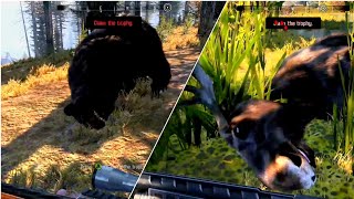 Cabela's Big Game hunter: pro hunts Gameplay