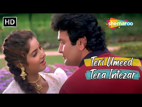 Teri Umeed Tera Intezar Karte Hain | Divya, Rishi Kapoor Hit Song | Kumar Sanu Songs | Deewana Songs