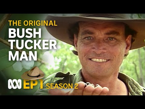 Wet season brings abundant bush tucker 🤠🗺️ | Bush Tucker Man | S2 EP1 | ABC Australia