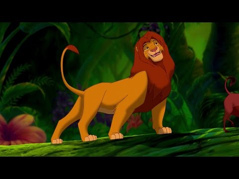 download lagu mp3 mp4 Musicas Rei Leao, download lagu Musicas Rei Leao gratis, unduh video klip Musicas Rei Leao
