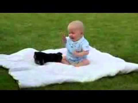 Baby and Dog - Bebe y perro.mp4