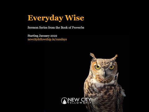 Everyday Wise: Wisdom
