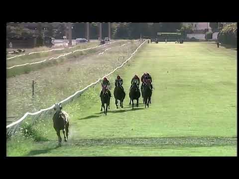 Napoli Galoppo 09/07/2022 - 4ª corsa