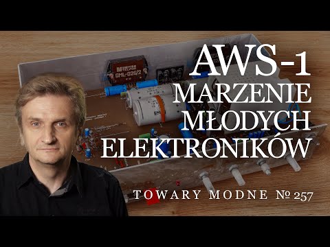 AWS-1 amplifier: a dream for young electronics engineers [FASHIONABLE GOODS 257]