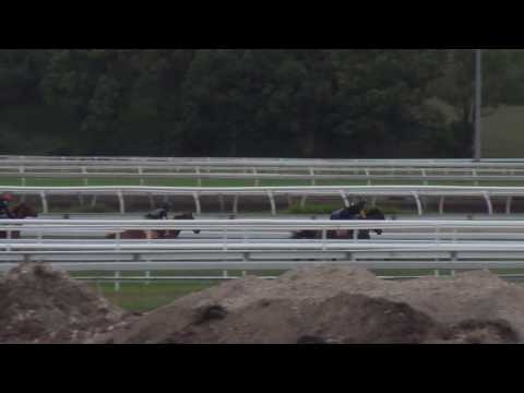 3rd February, 2017 - Heat 3