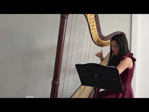 Promotional video thumbnail 3 for Natalie Man, Harpist