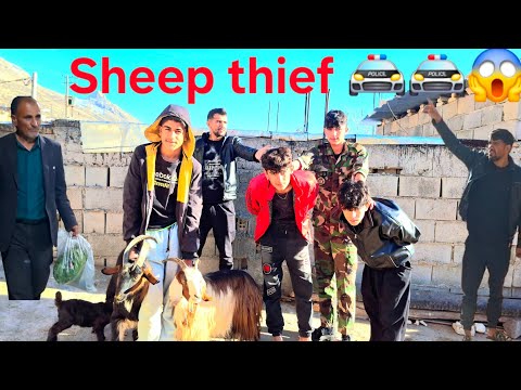 The Controversial Sheep Theft Case | Shocking Shepherd Revelation and Police Arrest🐐🐐🚔🚔