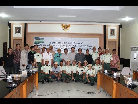 65 tahun bagaimana meningkatkan potensi Patogen bubuk kuda