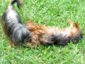 Josie And Lottie Playing Part 2