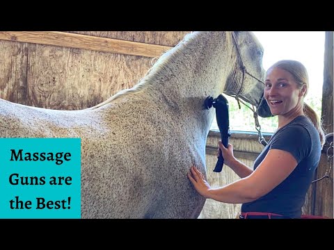 YouTube video about: How to use a massage gun on a horse?