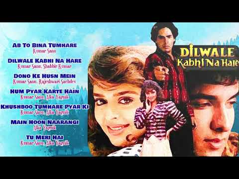 ab to bina tumhare kumar sanu movie song dilwale kabhi na hare