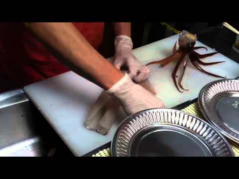 download lagu mp3 mp4 Fresh Squid Near Me, download lagu Fresh Squid Near Me gratis, unduh video klip Fresh Squid Near Me