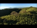 Dreams Of The Winds (Trails Of Our Ancestors)