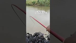 Download lagu Crazy meen!! Sharp curved rod #shorts mp3