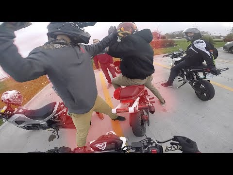 "You Might Want to Cut This from YouTube"  *Taylor/JarJar Funny Moments Compilation!*