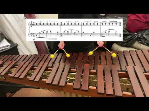 Nebojsa Jovan Zivkovic - Der Wanderer