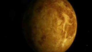 Venus Video
