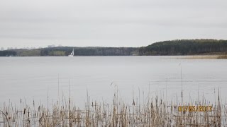 Ссылка