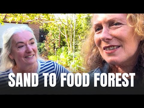 Sandy Suburban Block to Food Forest: A Transformation Guide