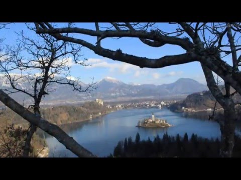 🎼Nina Pušlar & Matjaž Robavs🐞 Mimogrede🐞